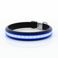 VelvetGlow LED Safety Collar